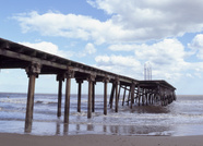 scan_1855.jpg
