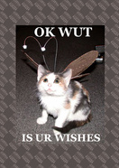 ok wut is ur wiches