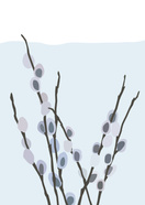 Pussy Willow