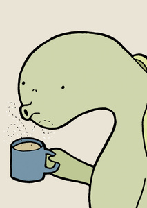Tortoise