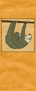 sloth with baby