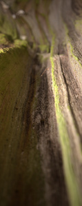 _MG_3262.jpg