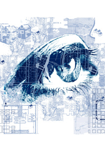 Eye