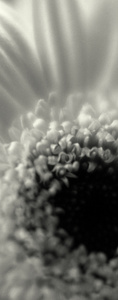 scan_644.jpg