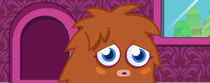 Furi 