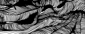Black Creases