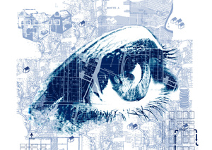 Eye
