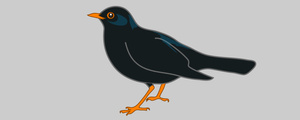 Blackbird