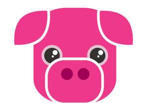 pig 