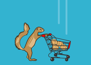 Squirrel Shop