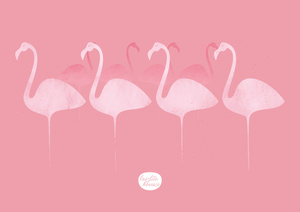 flamencos 