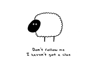 follow 