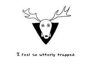 moose 