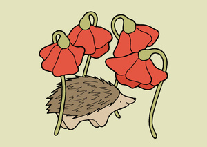 Hedgehog