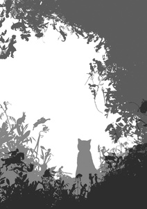 thecatcalledrabbit 