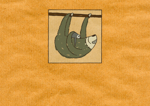 sloth with baby
