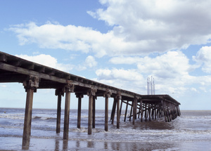 scan_1855.jpg