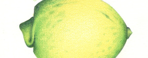 Lemoni