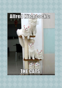 Alfred Hitchcock's The Cats