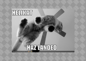 helikat haz landed