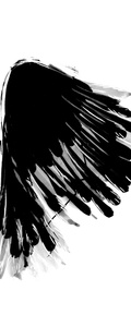 Solo Crow