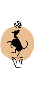 Dog Tricks