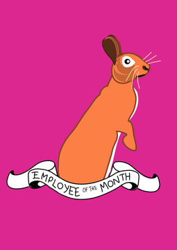 Top Bunny
