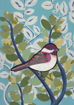spring chickadee