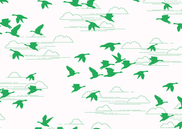 Geese 04