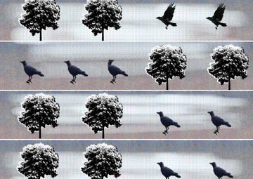 crow pattern pink