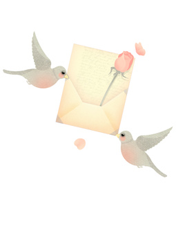 rosy love birds 