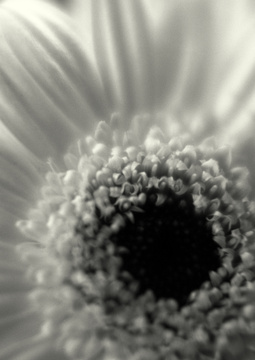 scan_644.jpg