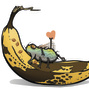 banana fly