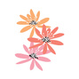 Three Flowers