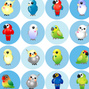 Parrotdise