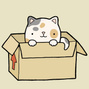 cat in a box 