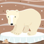 polar bear