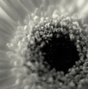 scan_644.jpg