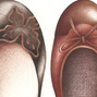 Three Brown Pumps