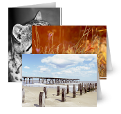Paul Cooklin Photography Greeting...
