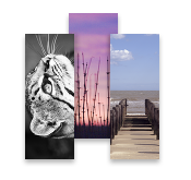 Paul Cooklin Photography MiniCards