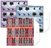 Suzanne Duffy NoteCards