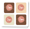 Cute Cut, StickerBook