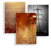 Paul Cooklin Photography Business...