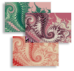 Perfect Paisley, Business Cards