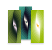 The Eye of the Storm, MiniCards