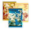 S0ulsurfing Postcards