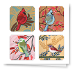 Chelsea Groves StickerBooks