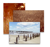 Paul Cooklin Photography Postcards