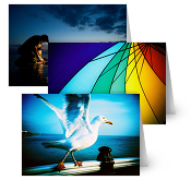 Kevin Meredith Greeting Cards
